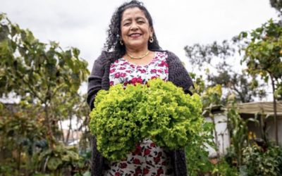 LOS MERCADOS CAMPESINOS EN SU VERSIÓN 49 LE RINDEN HOMENAJE A LAS MADRES AGRICULTORAS